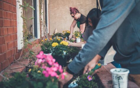 Community Engagement And Self Care