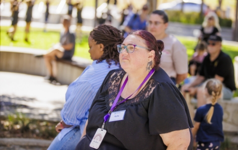 Supported Independent Living (SIL)