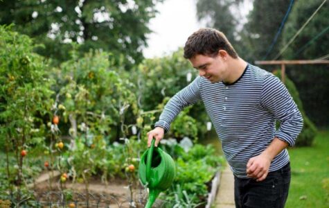 Support Worker