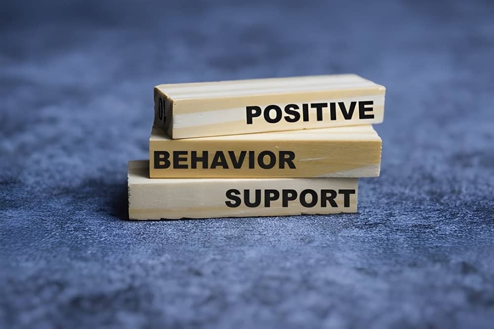 Getting Started with Behaviour Support